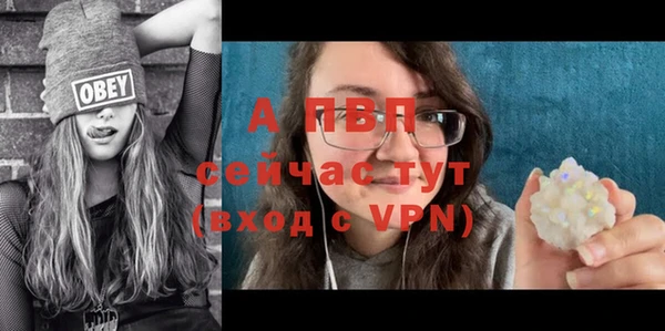 амфетамин Богданович